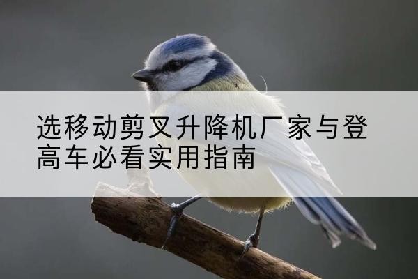 菏泽电动升降机厂家-选移动剪叉升降机厂家与登高车必看实用指南