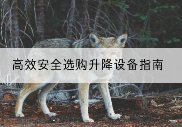 菏泽升降货梯厂家推荐-*安全选购升降设备指南